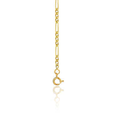 Chaîne de Cheville Maille Cheval Alternée, Or Jaune 750, 25 cm - Emanessence