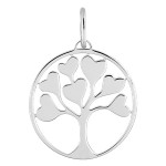 Argent massif 925/1000