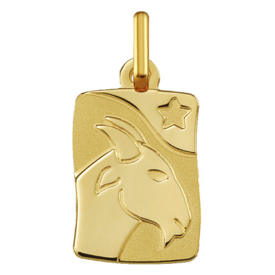 Pendentif Signe Astrologique Capricorne, Or jaune 375 - Argyor