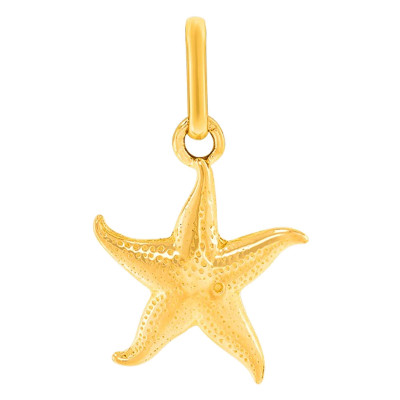 Pendentif Etoile de mer, Or jaune - Lucas Lucor