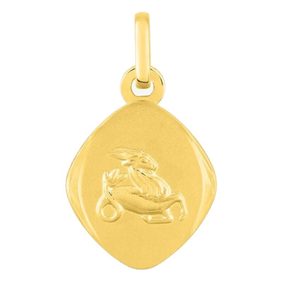 Médaille Signe Astrologique Capricorne, Or Jaune 750 - Emanessence