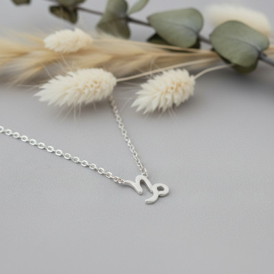 Collier Signe Astrologique Capricorne, Argent 925, 42cm - Vandona