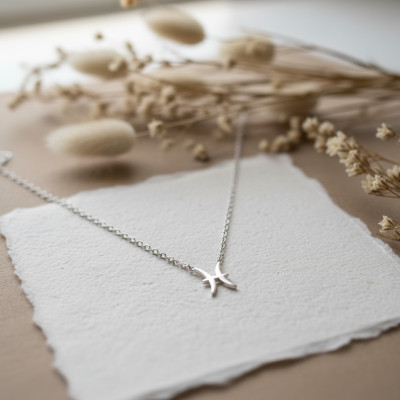 Collier Signe Astrologique Poissons, Argent 925, 42cm - Vandona